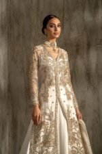 Party Wear-Gown AZ-5660 - Image 5