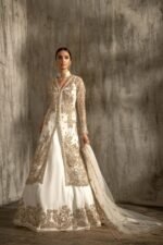 Party Wear-Gown AZ-5660
