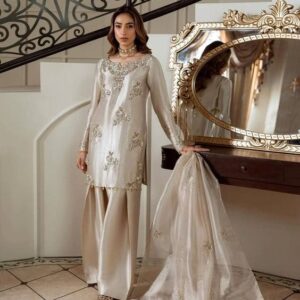 Party wear dreses
