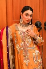 Luxury Embroidered Silk Pishwas - Image 3
