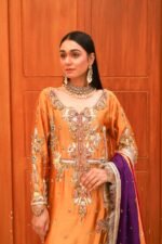 Luxury Embroidered Silk Pishwas - Image 2