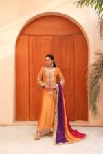 Luxury Embroidered Silk Pishwas