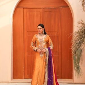 Luxury Embroidered Silk Pishwas