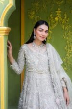Luxury Embroidered Net Maxi Gown - Image 2