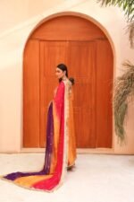 Luxury Embroidered Silk Pishwas - Image 8
